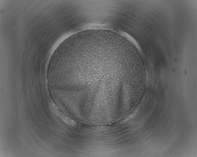 X0000072541435200607281613