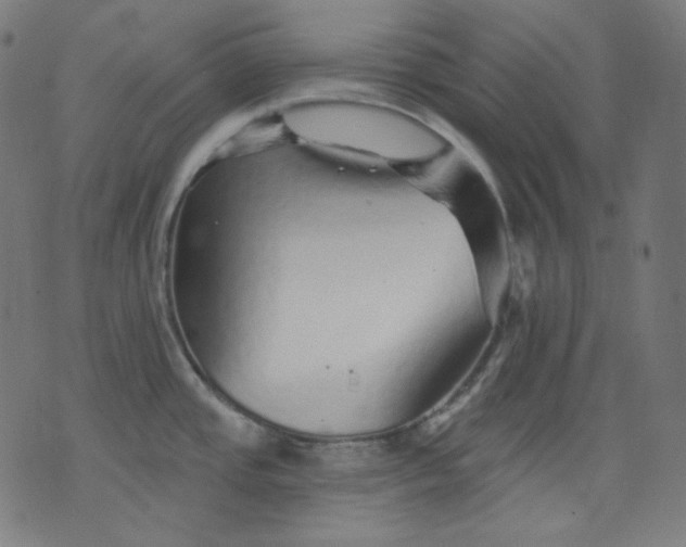X0000072541437200607281613