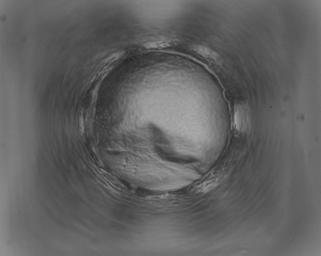 X0000072541444200607281612