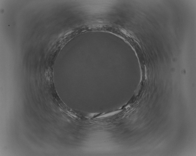 X0000072541445200607281612