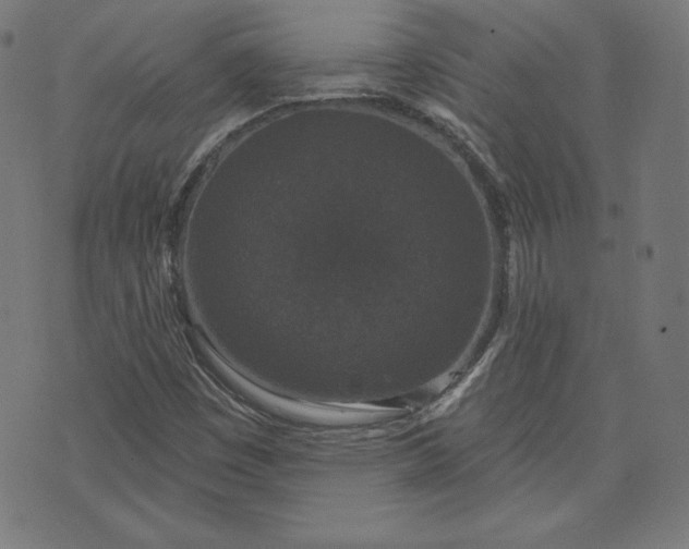 X0000072541449200607281612