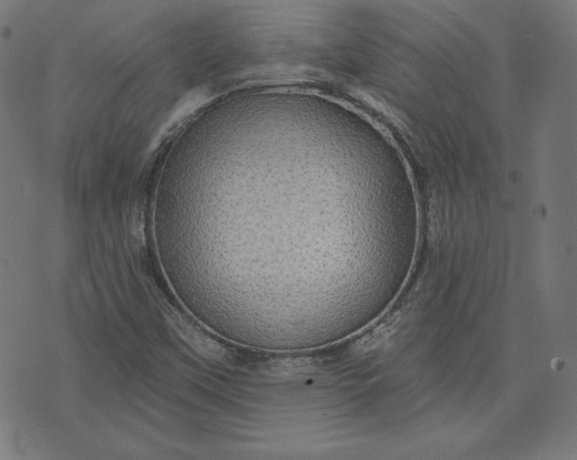 X0000072541451200607281612