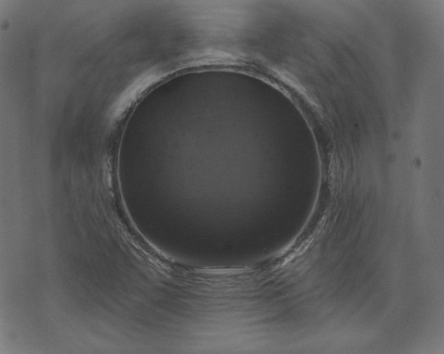 X0000072541455200607281612