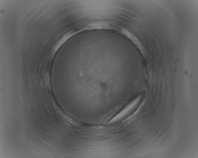 X0000072541465200607281612