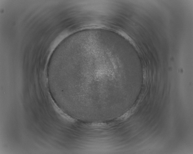 X0000072541466200607281611