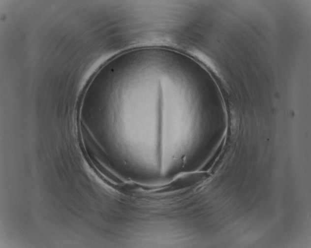 X0000072541468200607281611