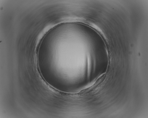 X0000072541472200607281611