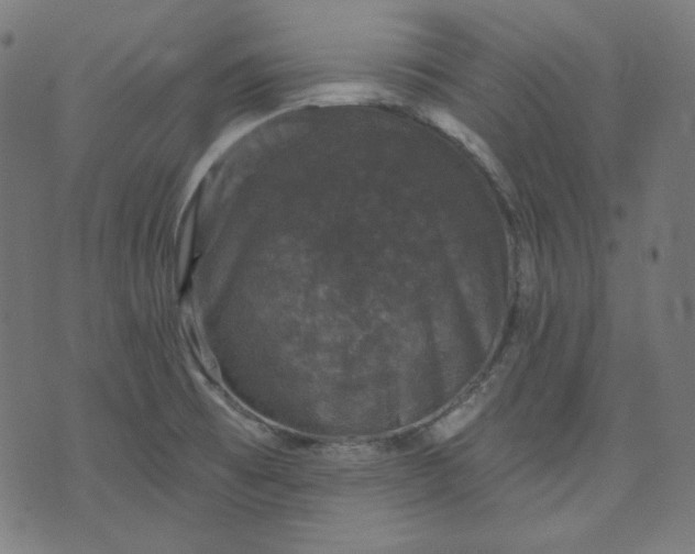 X0000072541473200607281611