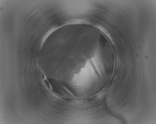 X0000072541481200607281611