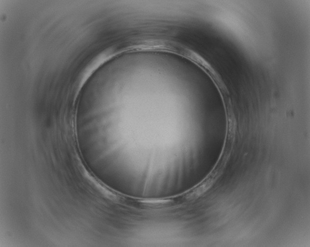 X0000072541487200607281611