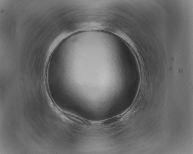 X0000072541488200607281611