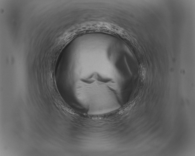 X0000072541489200607281610