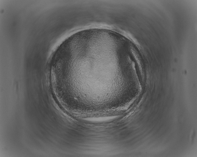 X0000072541504200607281611
