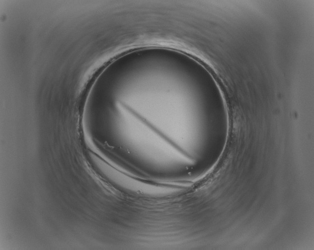 X0000072541507200607281611