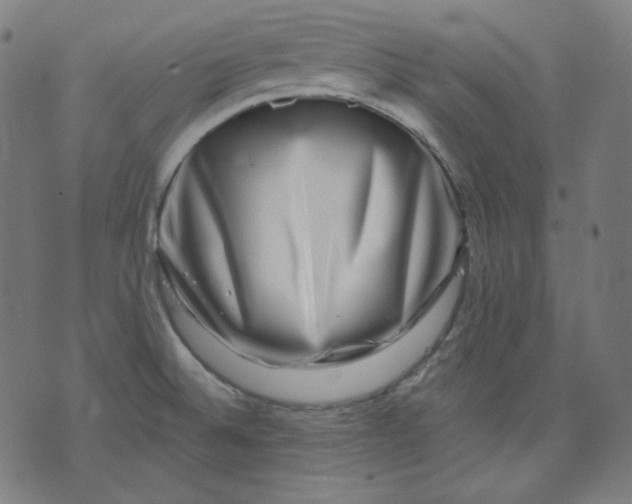 X0000072541524200607281611