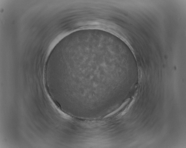 X0000072541533200607281611