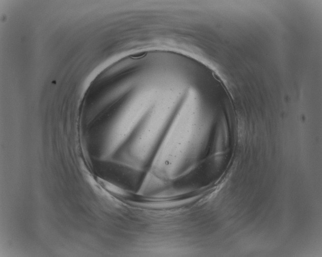 X0000072541534200607281611