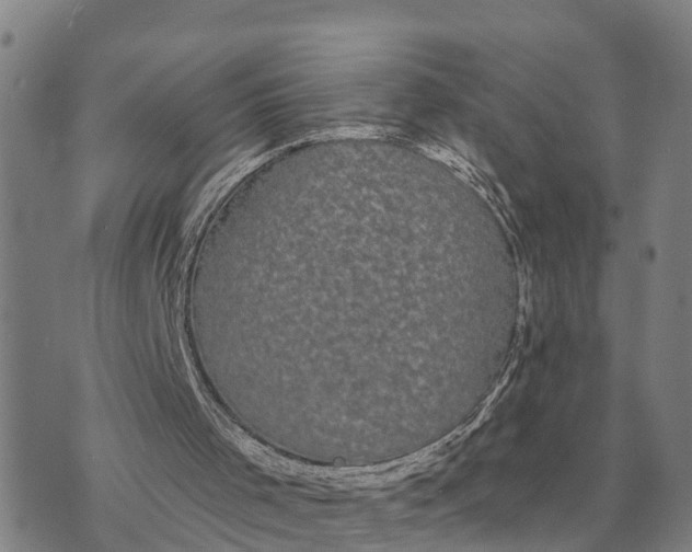 X0000072540001200608041634