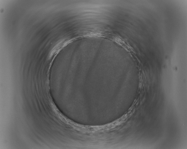 X0000072540002200608041634