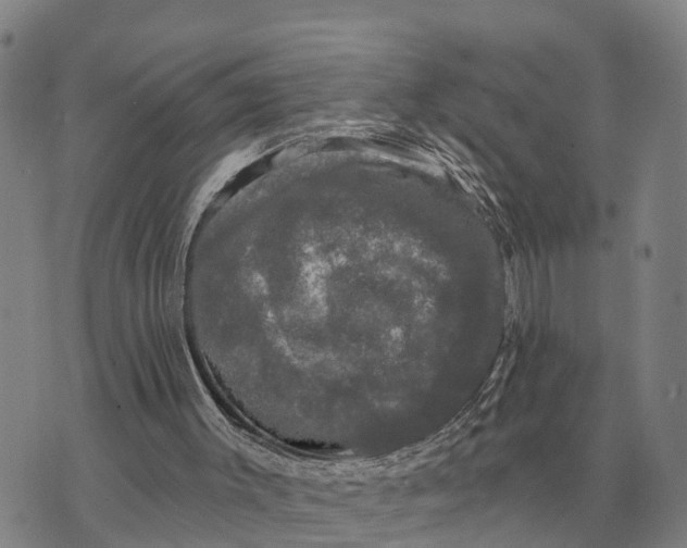 X0000072540003200608041634