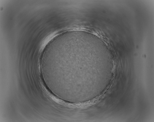 X0000072540005200608041634