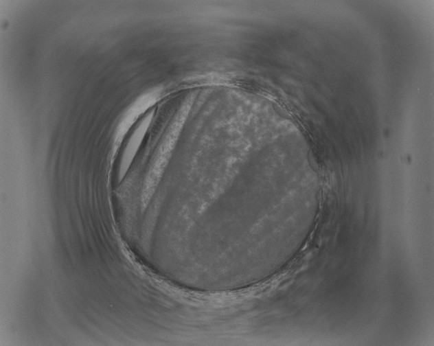 X0000072540006200608041634