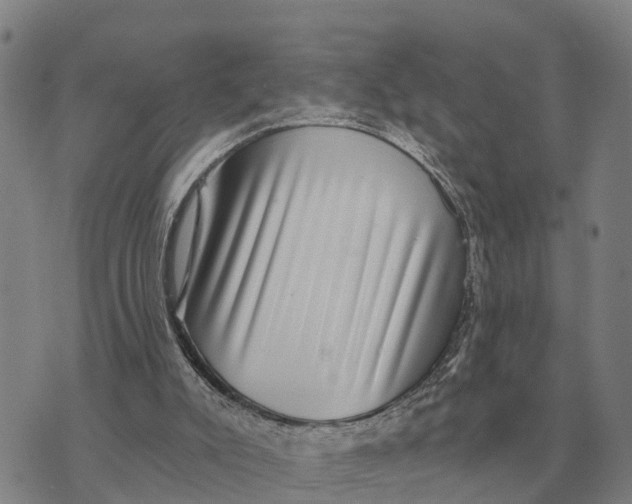 X0000072540007200608041634