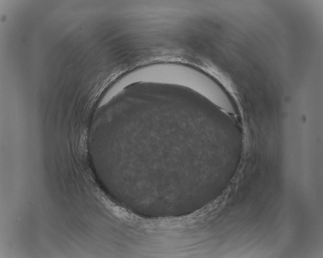 X0000072540009200608041634