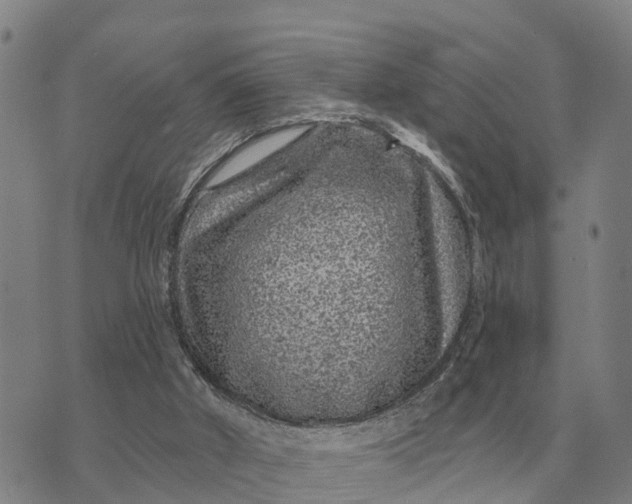 X0000072540010200608041634