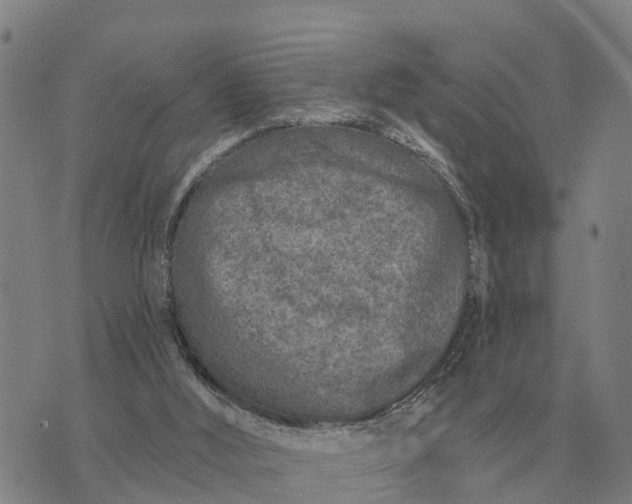 X0000072540012200608041634