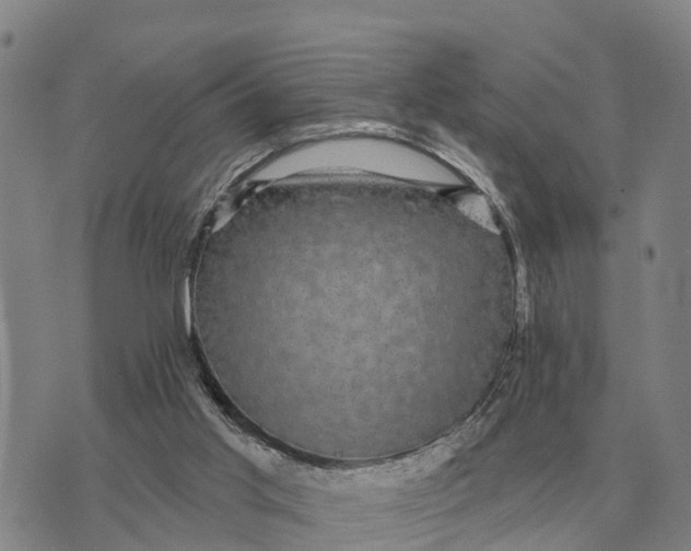 X0000072540013200608041634