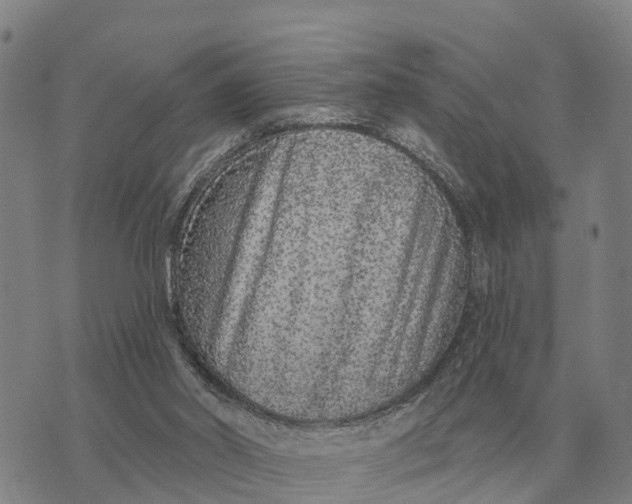 X0000072540014200608041634