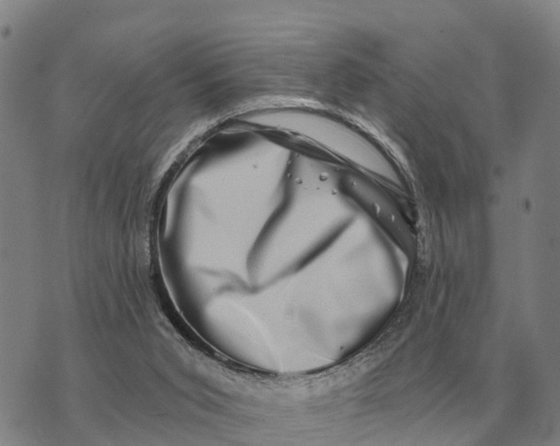 X0000072540015200608041634