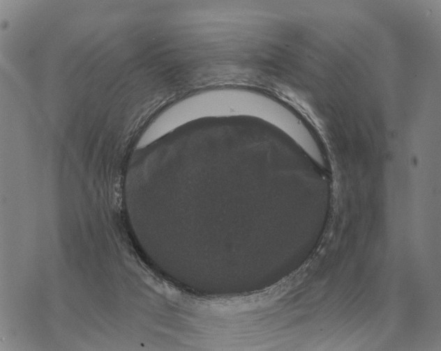 X0000072540017200608041634