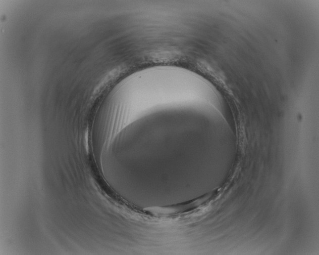 X0000072540019200608041634