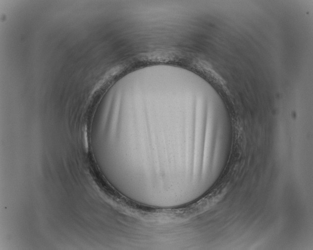 X0000072540020200608041634