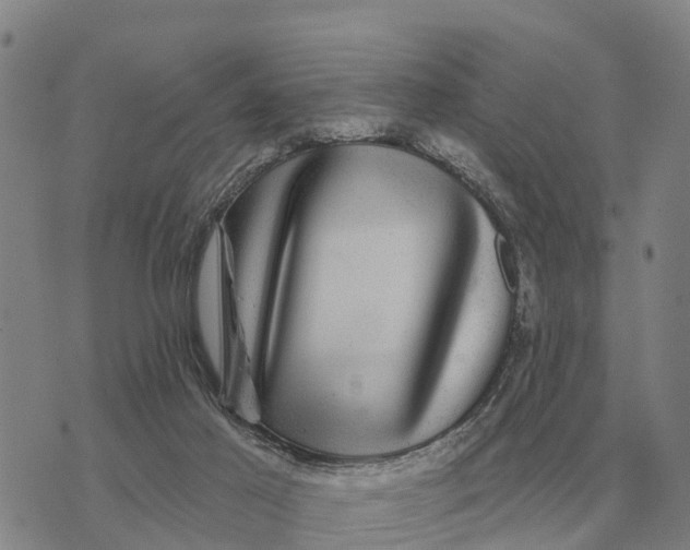 X0000072540021200608041634