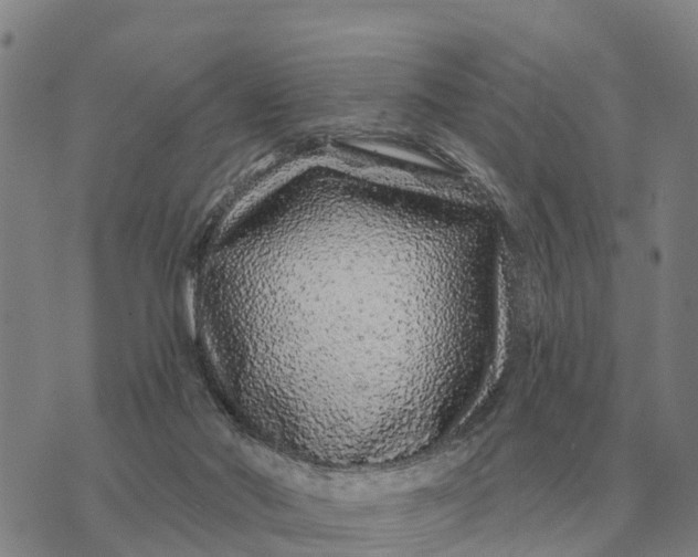 X0000072540022200608041634