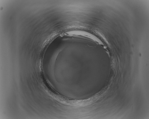 X0000072540023200608041634