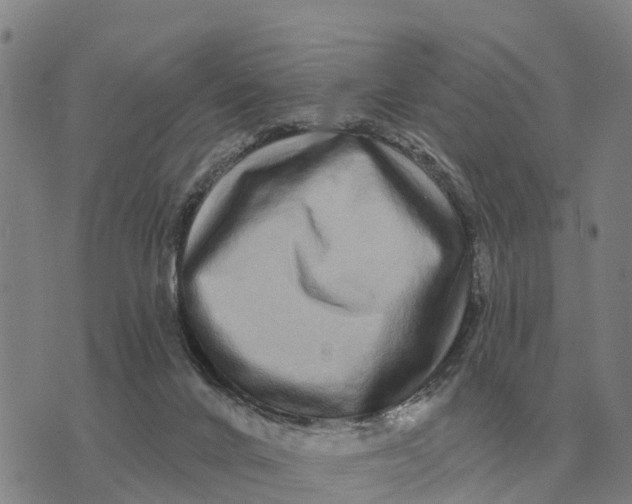 X0000072540024200608041634