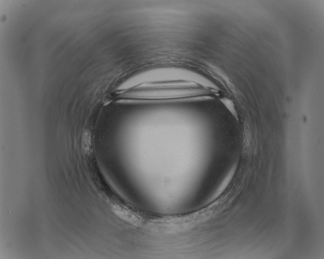 X0000072540025200608041634