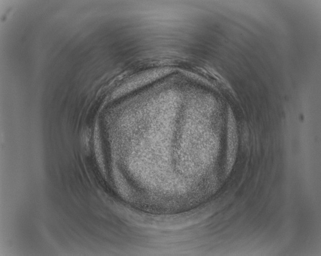 X0000072540026200608041634