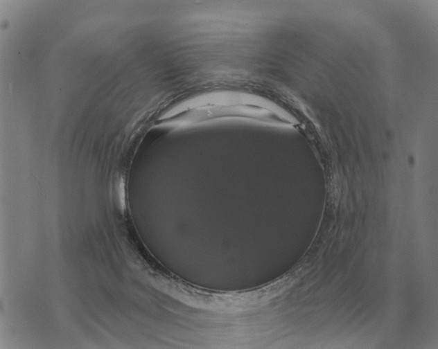 X0000072540027200608041634