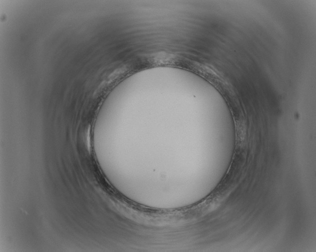 X0000072540028200608041634