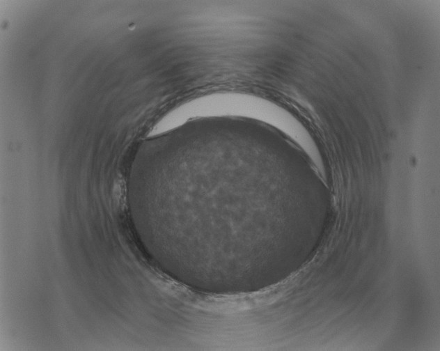 X0000072540029200608041634