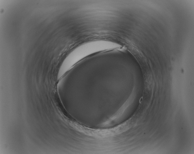 X0000072540031200608041633