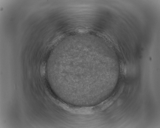 X0000072540032200608041633