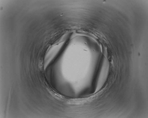 X0000072540033200608041633