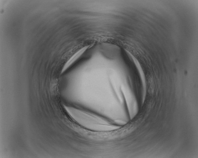 X0000072540034200608041633