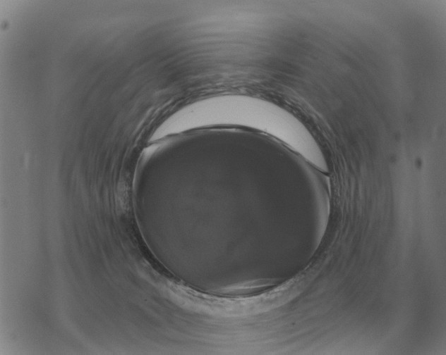 X0000072540035200608041633